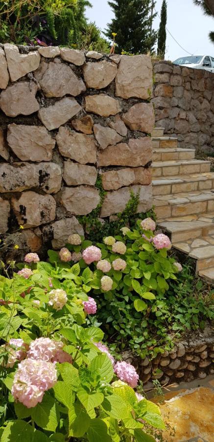 Kuca Za Odmor Jelena Villa Starigrad Paklenica Ngoại thất bức ảnh