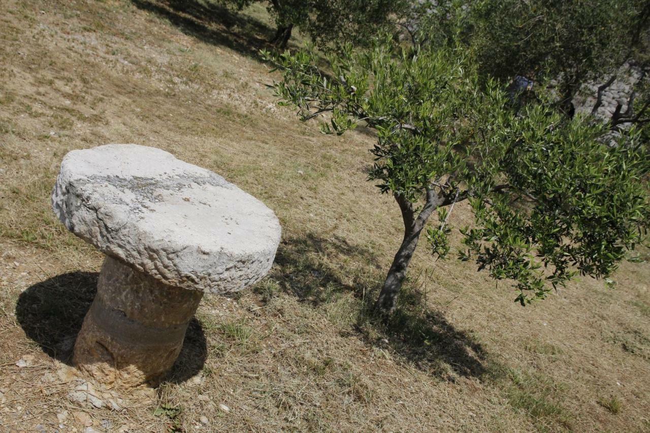 Kuca Za Odmor Jelena Villa Starigrad Paklenica Ngoại thất bức ảnh