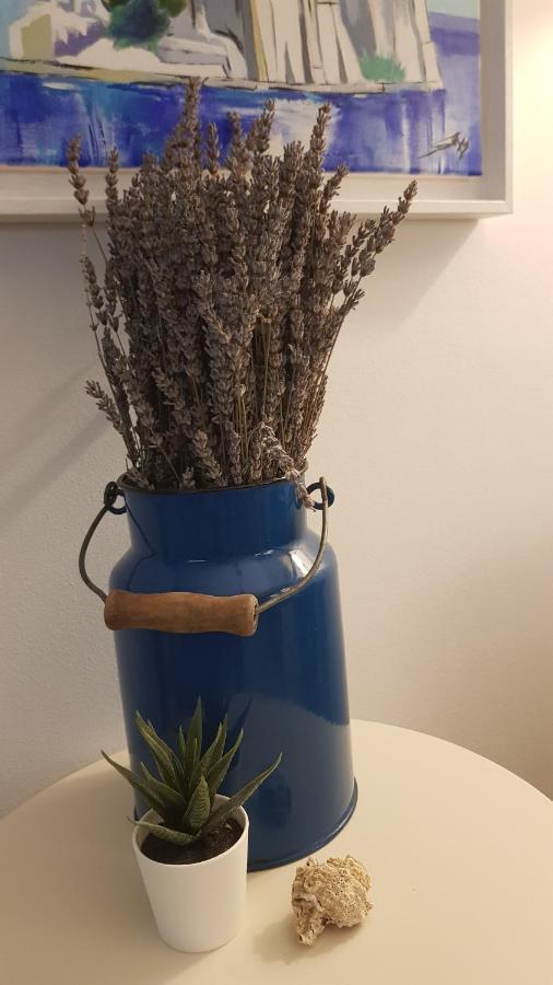 Kuca Za Odmor Jelena Villa Starigrad Paklenica Ngoại thất bức ảnh